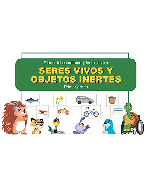 Grade 1 (Spanish) |  Click to enlarge