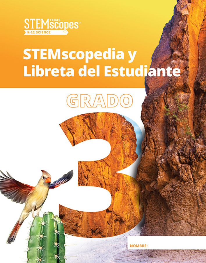 Grade 3 (Spanish) |  Click to enlarge