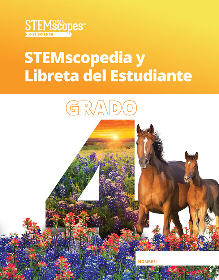 Grade 4 (Spanish) |  Click to enlarge