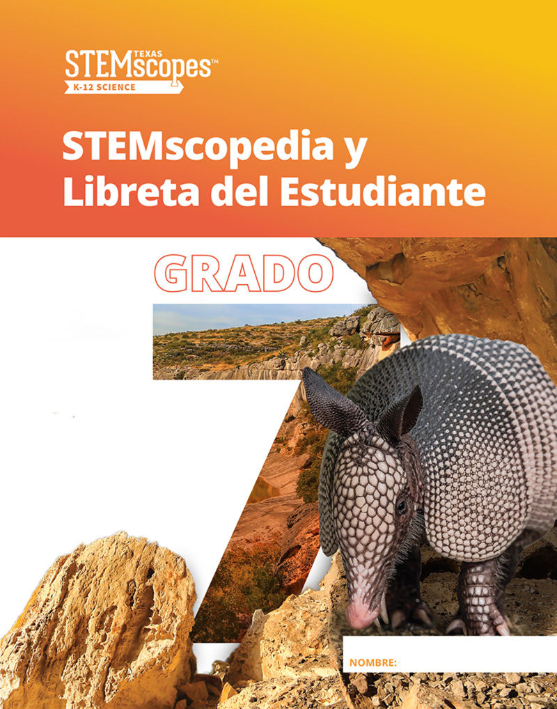 Grade 7 (Spanish) |  Click to enlarge