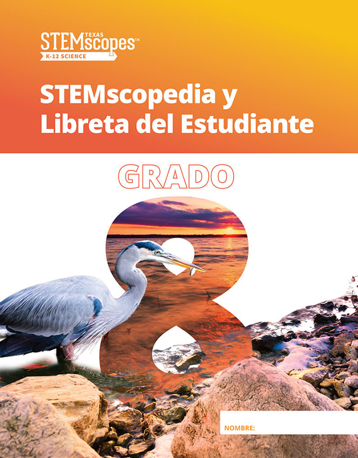 Grade 8 (Spanish) |  Click to enlarge