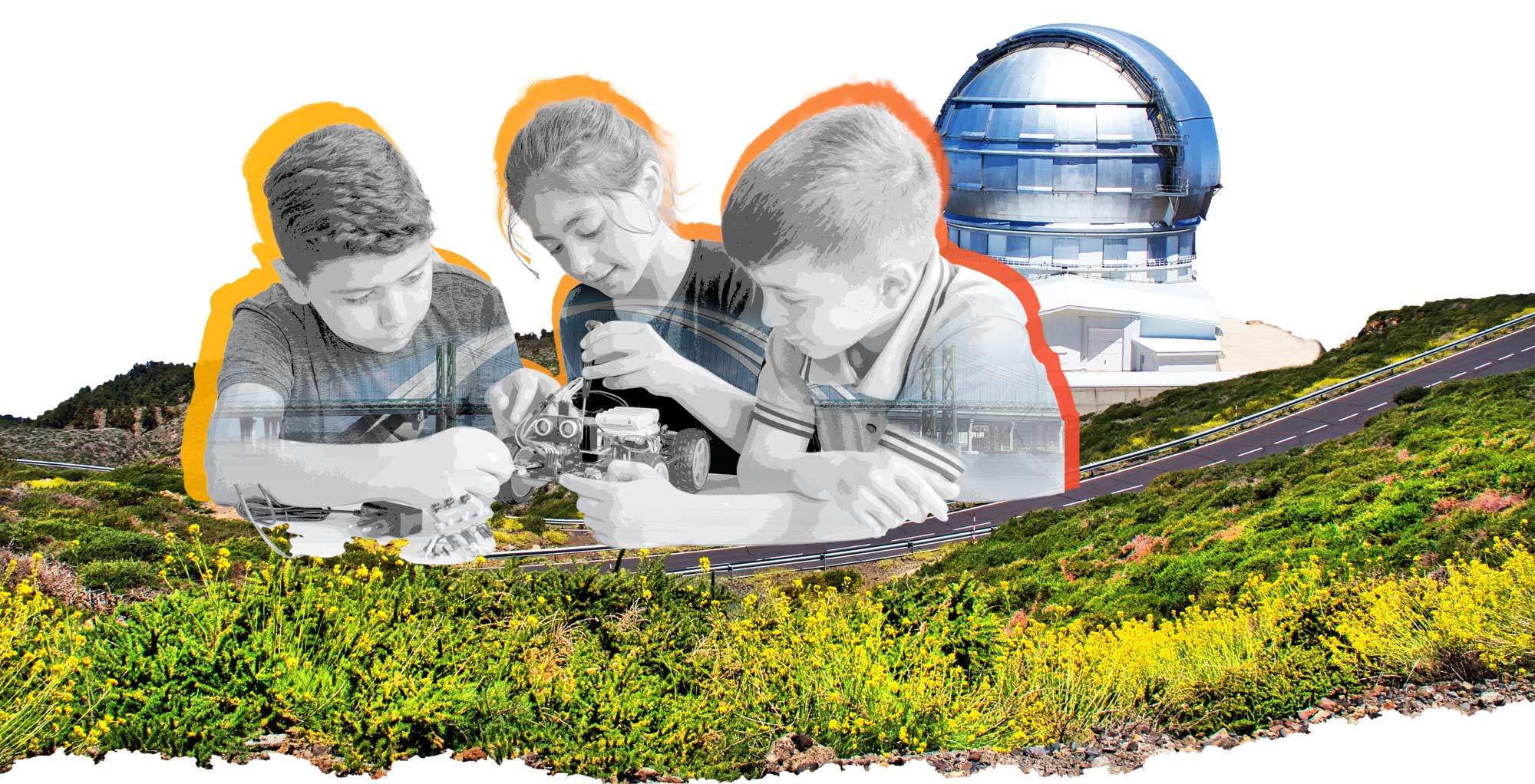 At Accelerate learning our mission is to inspire curiosity, connection, and a passion for discovery.