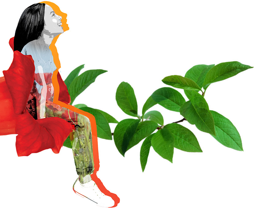 A curious and awe-inspired girl smiling with wonder at an outline of a bird in flight, embodying empowerment, diversity, innovation, freedom, growth, and the vision of Accelerate Learning's mission.