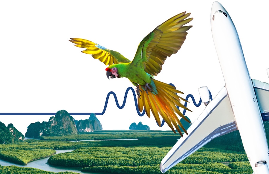 STEMscopes Science Pulse Preview