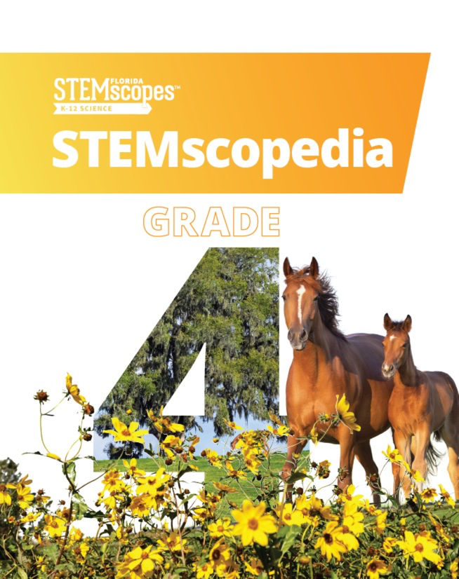 Grade 4 — STEMscopedia |  Click to enlarge