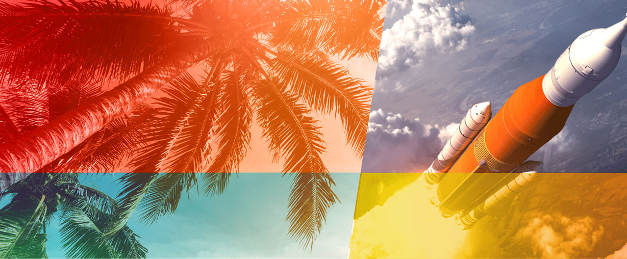 Florida Rocket and Trees photo