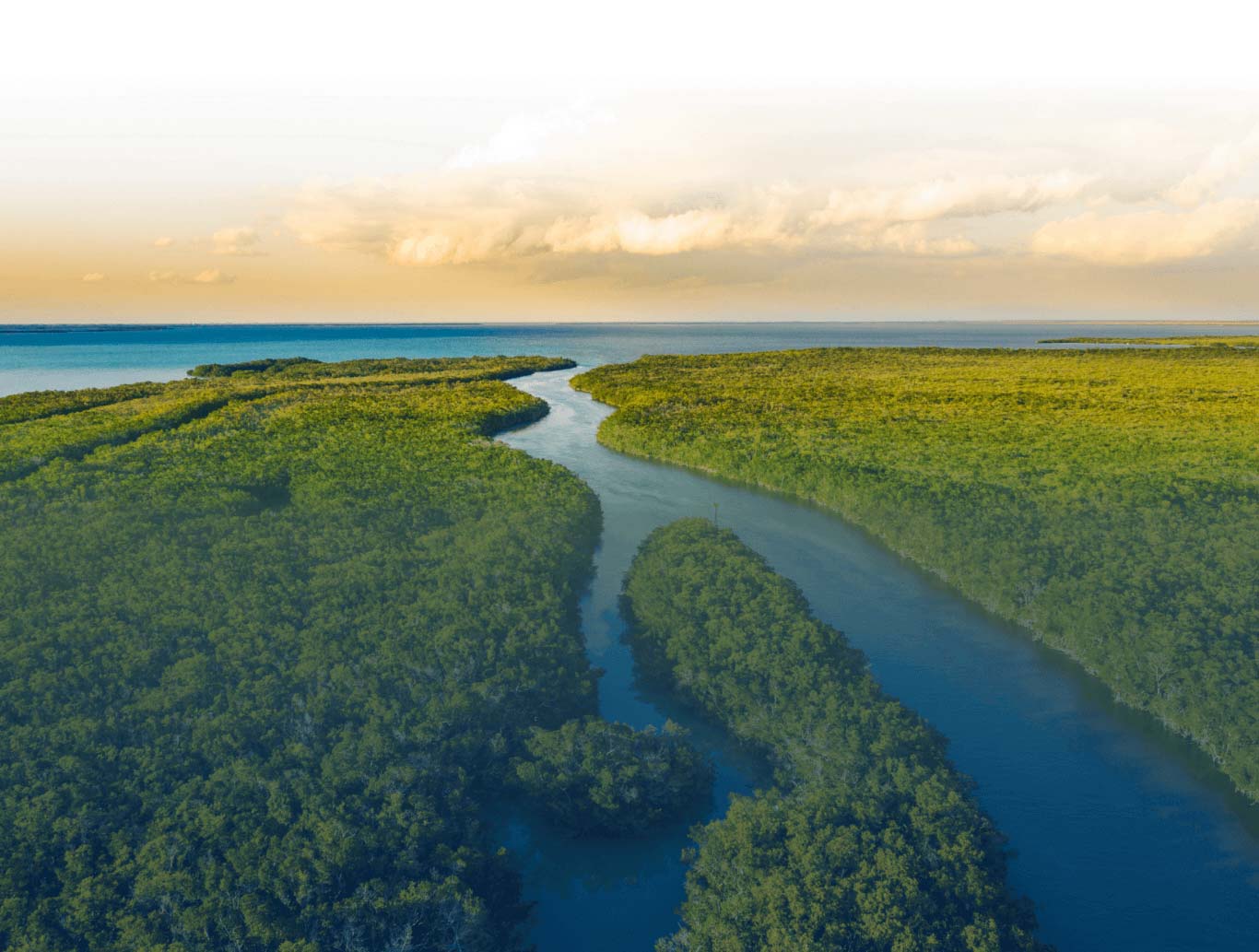 River Background Photo