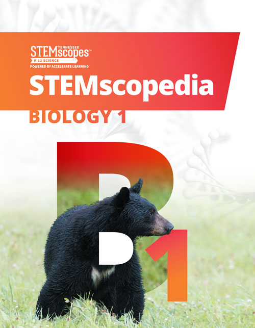 Biology - STEMscopedia | Click to enlarge