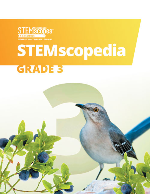 Grade 3 - STEMscopedia |  Click to enlarge