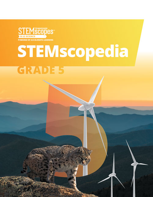 Grade 5 - STEMscopedia |  Click to enlarge