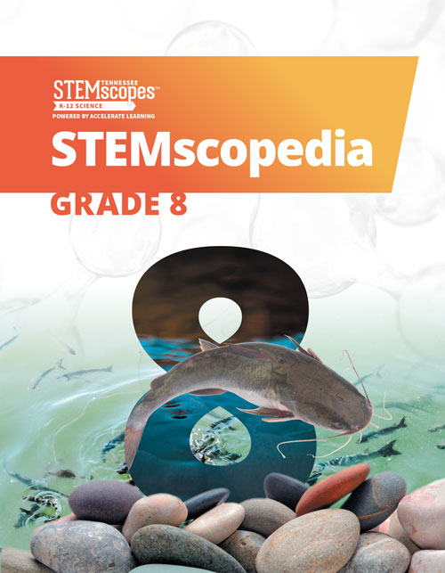 Grade 8 - STEMscopedia |  Click to enlarge