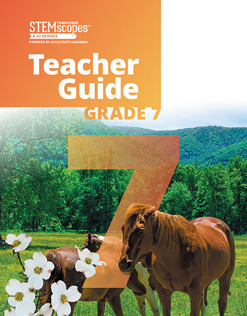 Grade 7 - Teacher's Guide | Click to enlarge