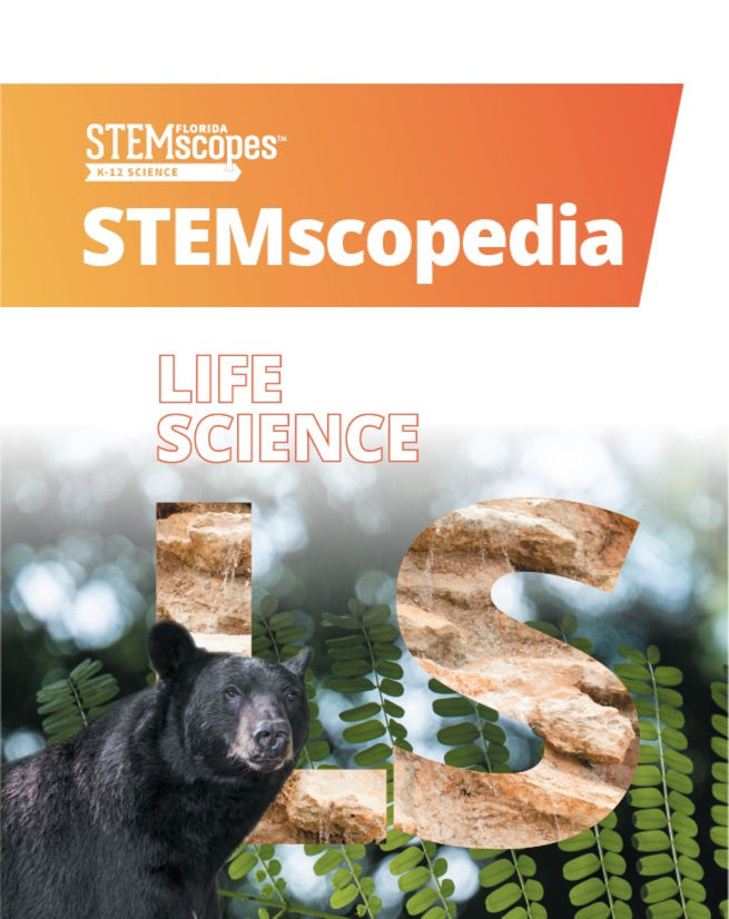ls_stemscopedia