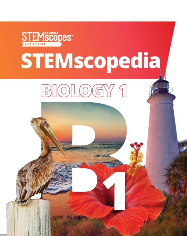 Biology &mdash; STEMscopedia |  Click to enlarge