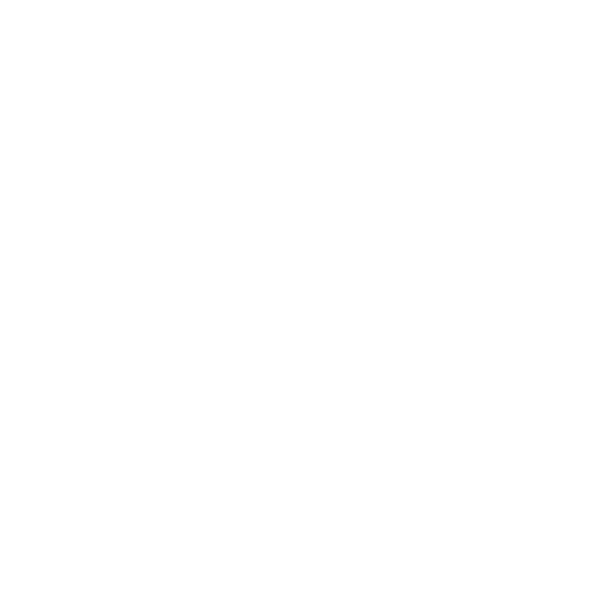 Mississippi State Outline